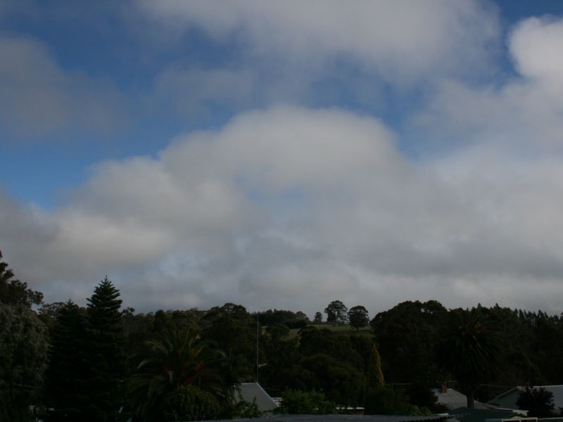 33 Guppy Street, Pemberton WA 6260