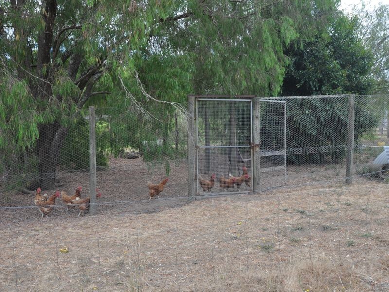 43 Browns Road, Pemberton WA 6260