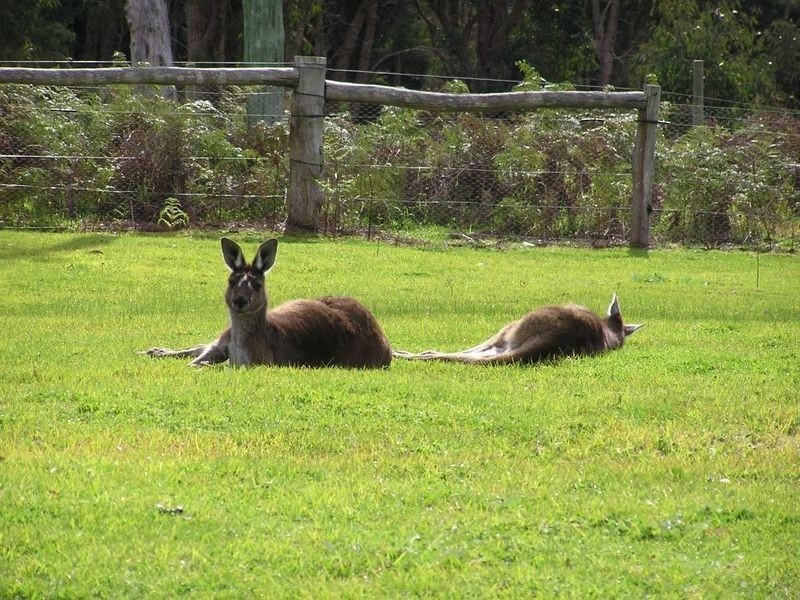 Lot 7 Parkfield Drive, Northcliffe WA 6262