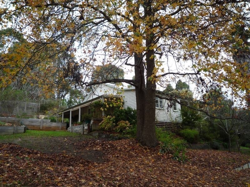 141 Brockman Street, Pemberton WA 6260