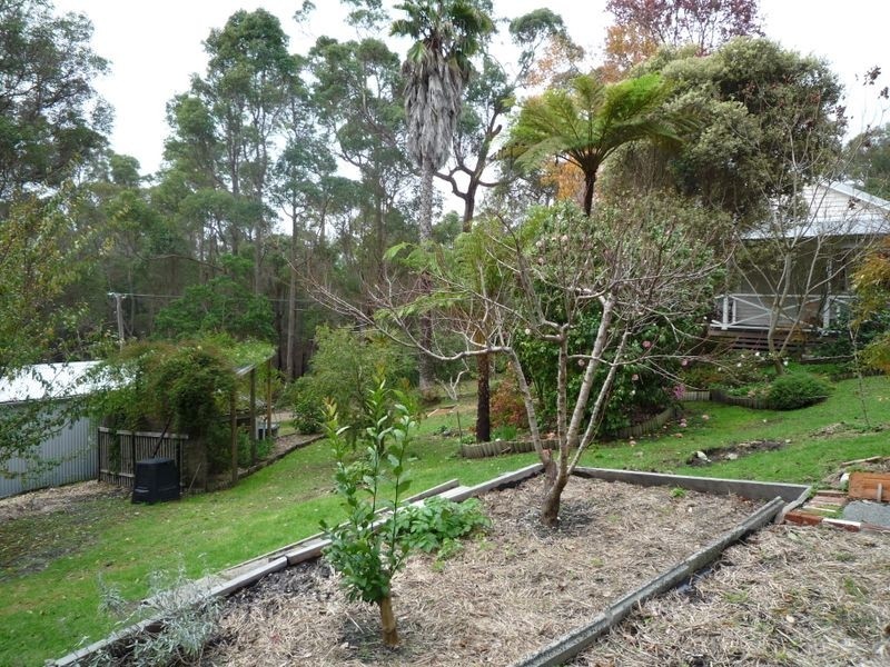 141 Brockman Street, Pemberton WA 6260