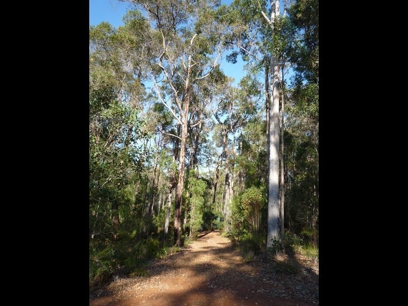 77 Ditri Court, Pemberton WA 6260