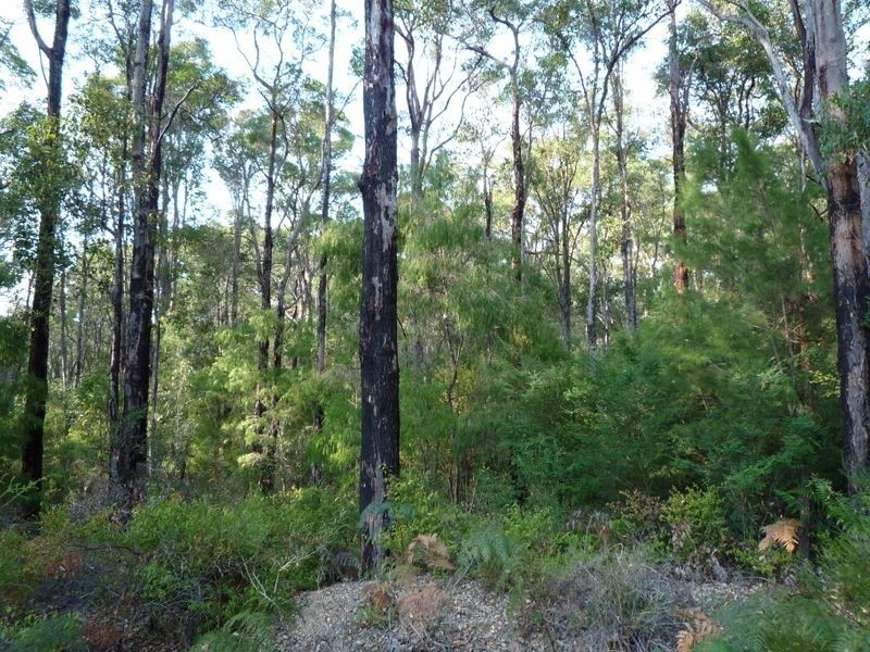 77 Ditri Court, Pemberton WA 6260