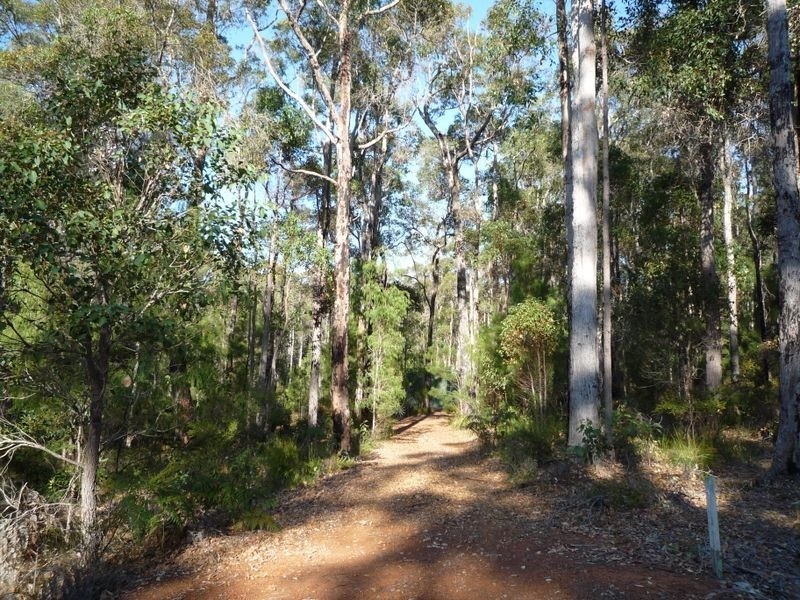 77 Ditri Court, Pemberton WA 6260