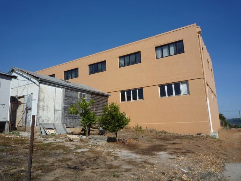 21 Jamieson Street, Pemberton WA 6260