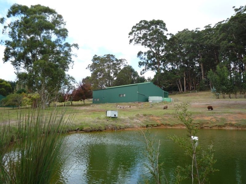 30 Black Georges Road, Pemberton WA 6260