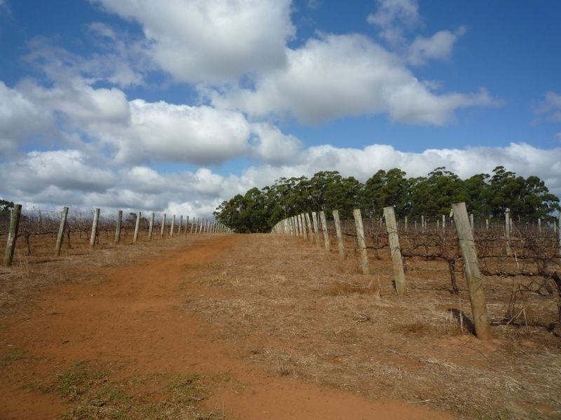 30 Black Georges Road, Pemberton WA 6260