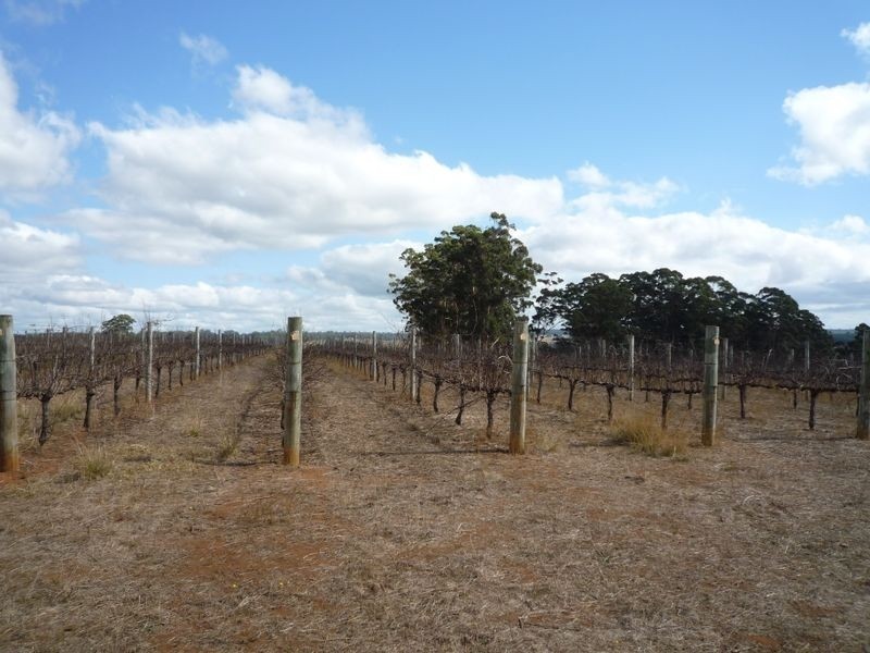 30 Black Georges Road, Pemberton WA 6260