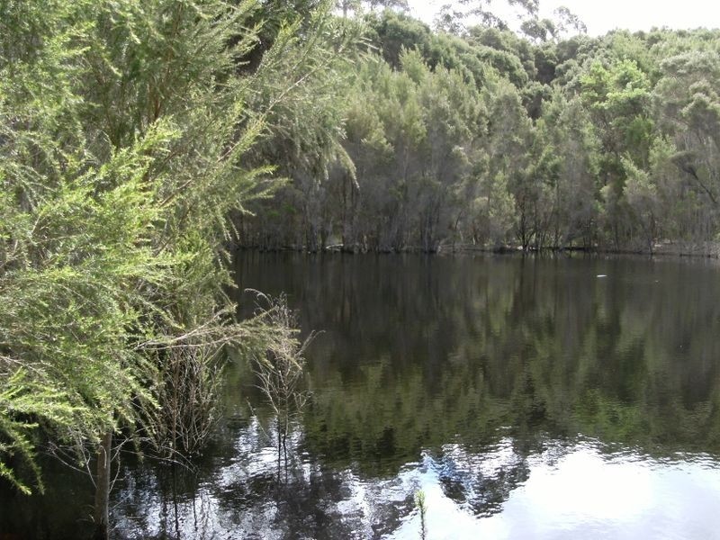 Lot 27 Browns Road, Pemberton WA 6260