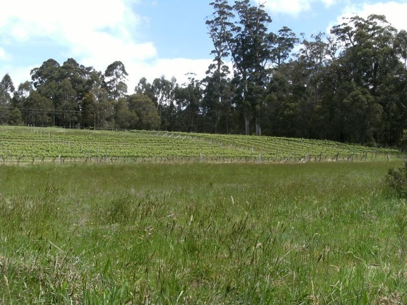 Lot 27 Browns Road, Pemberton WA 6260