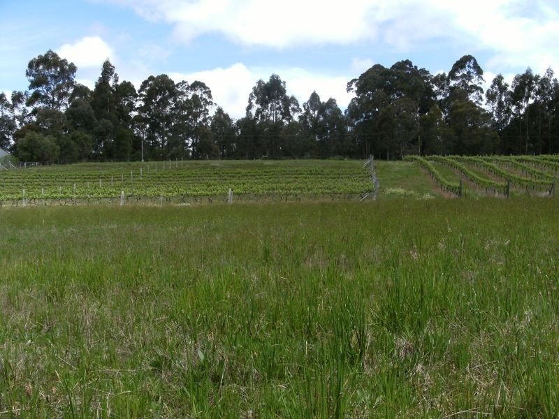 Lot 27 Browns Road, Pemberton WA 6260