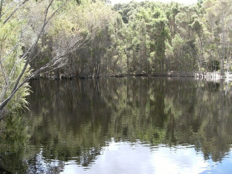 Lot 27 Browns Road, Pemberton WA 6260