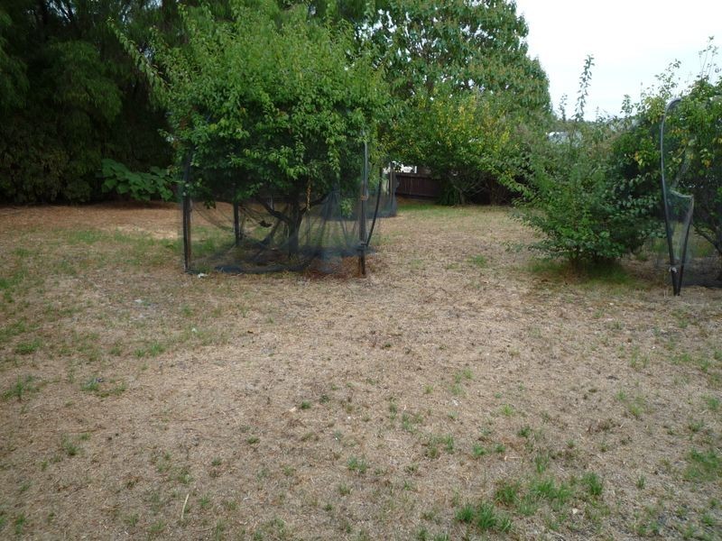 102 Double Bridges Road, Northcliffe WA 6262