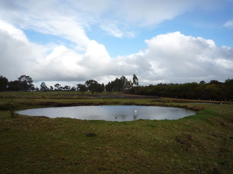 19/ Norna Drive, Northcliffe WA 6262