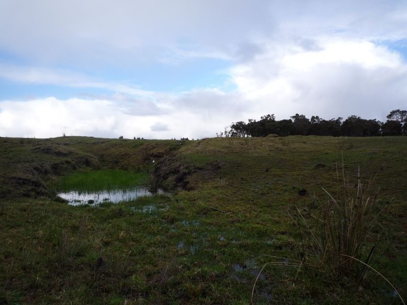 19/ Norna Drive, Northcliffe WA 6262