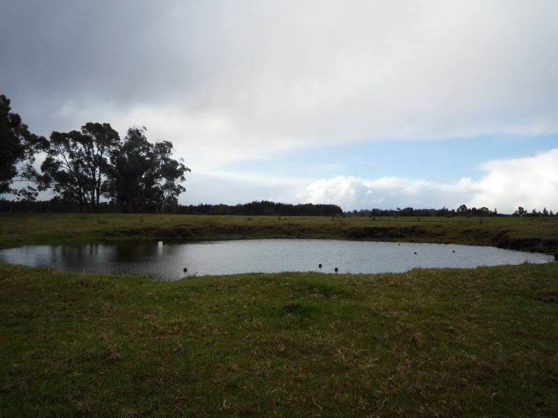 19/ Norna Drive, Northcliffe WA 6262