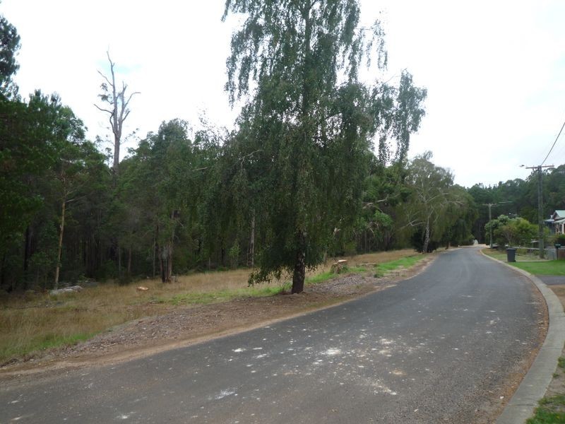 28 Forestry Glen, Pemberton WA 6260