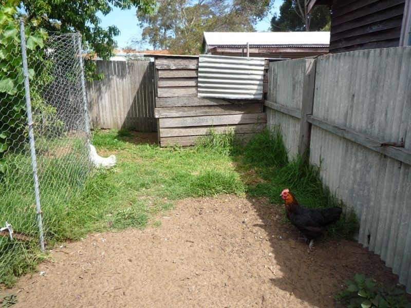 5 Widdeson Street, Pemberton WA 6260