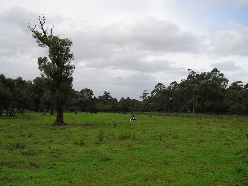 26 Parkfield Drive, Northcliffe WA 6262