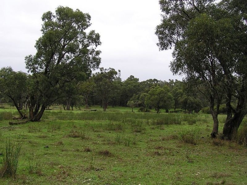 26 Parkfield Drive, Northcliffe WA 6262