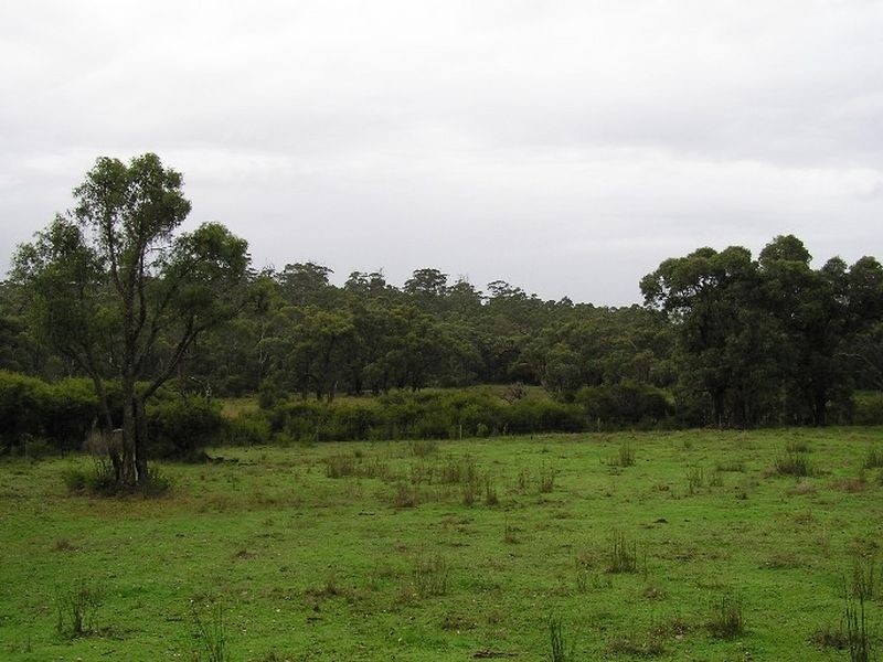 26 Parkfield Drive, Northcliffe WA 6262