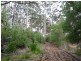 Lot 92 Plackett Drive, Pemberton WA 6260