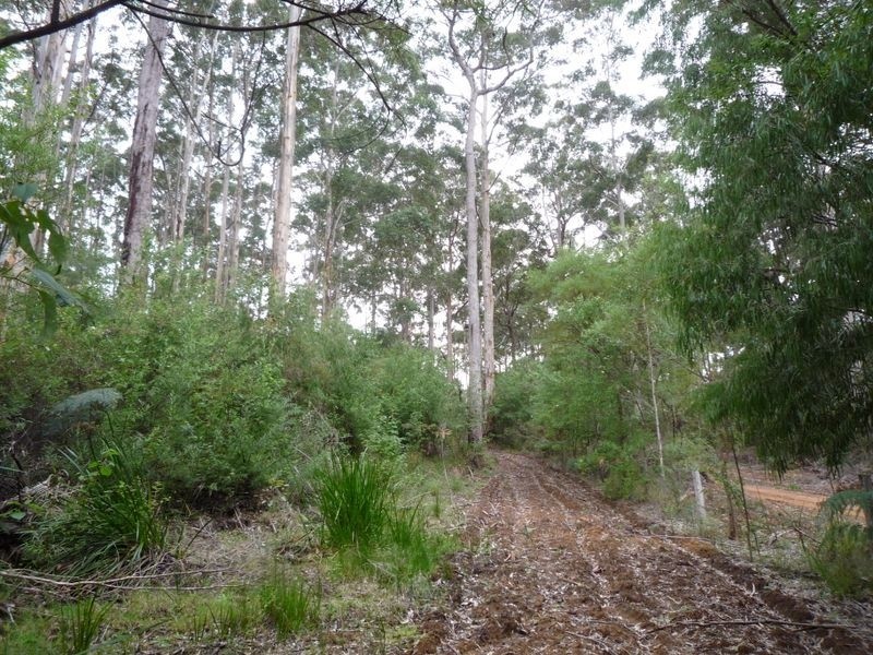 Lot 92 Plackett Drive, Pemberton WA 6260