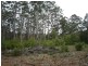 Lot 92 Plackett Drive, Pemberton WA 6260