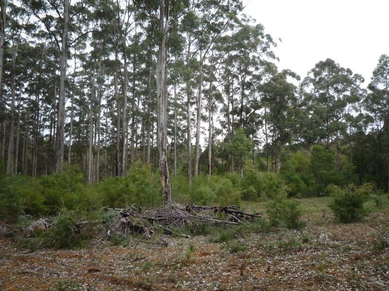 Lot 92 Plackett Drive, Pemberton WA 6260