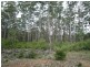 Lot 92 Plackett Drive, Pemberton WA 6260