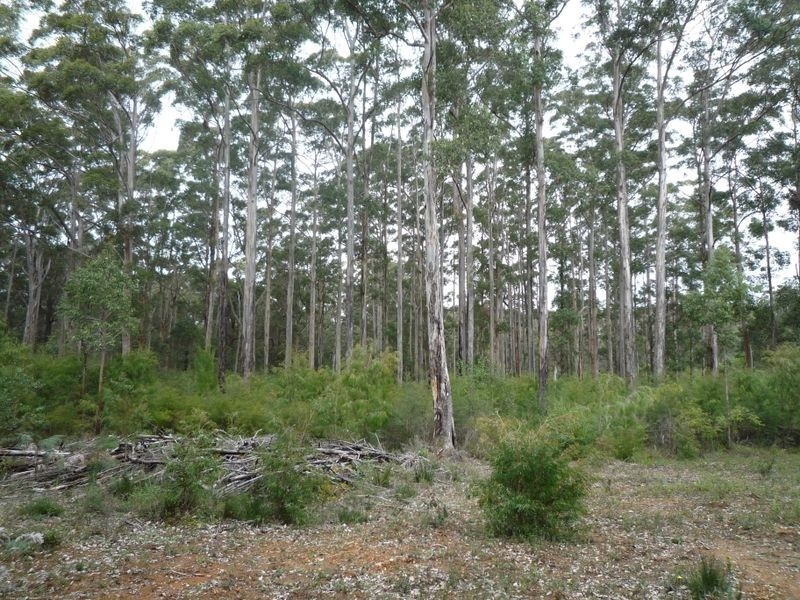 Lot 92 Plackett Drive, Pemberton WA 6260