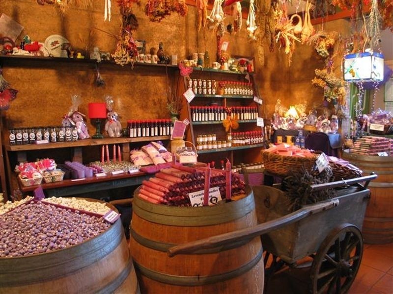 65 Browns Road, Pemberton WA 6260