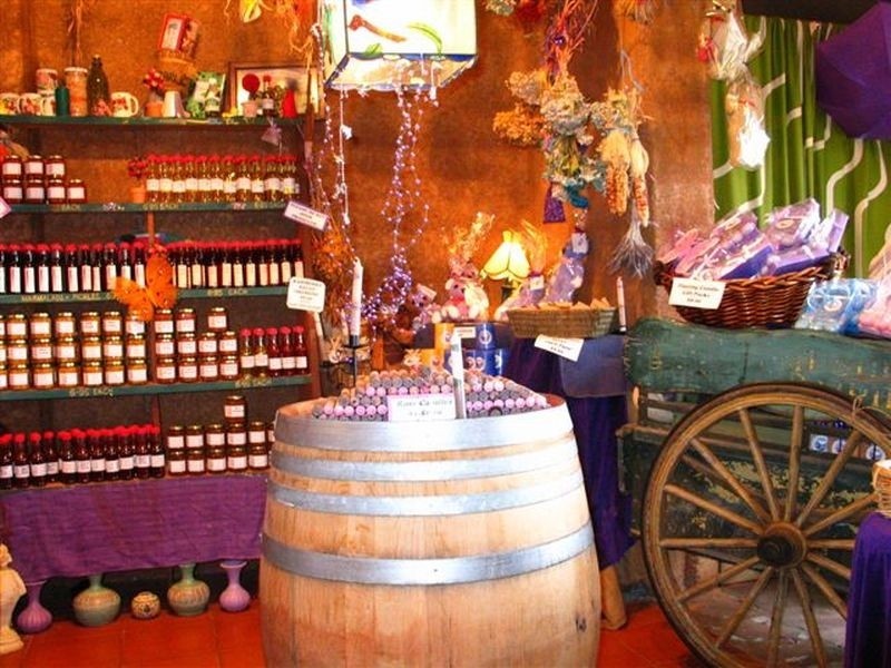 65 Browns Road, Pemberton WA 6260