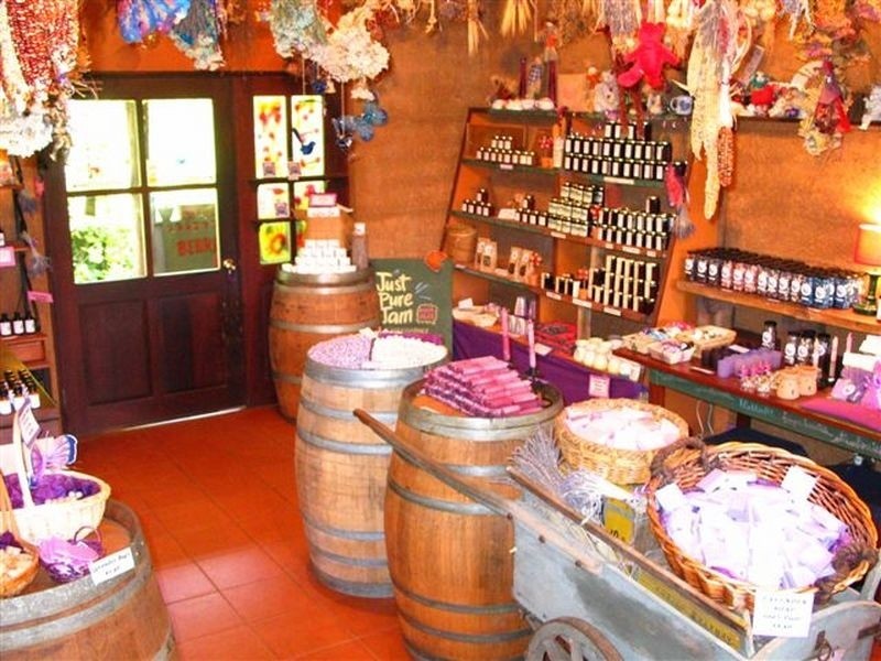 65 Browns Road, Pemberton WA 6260