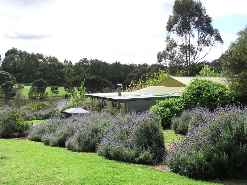 65 Browns Road, Pemberton WA 6260