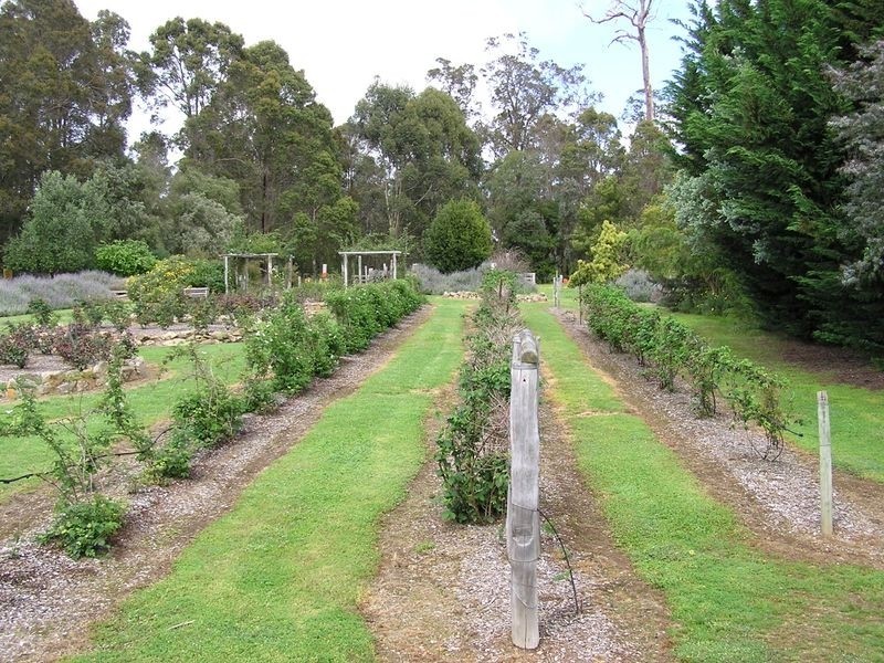 65 Browns Road, Pemberton WA 6260