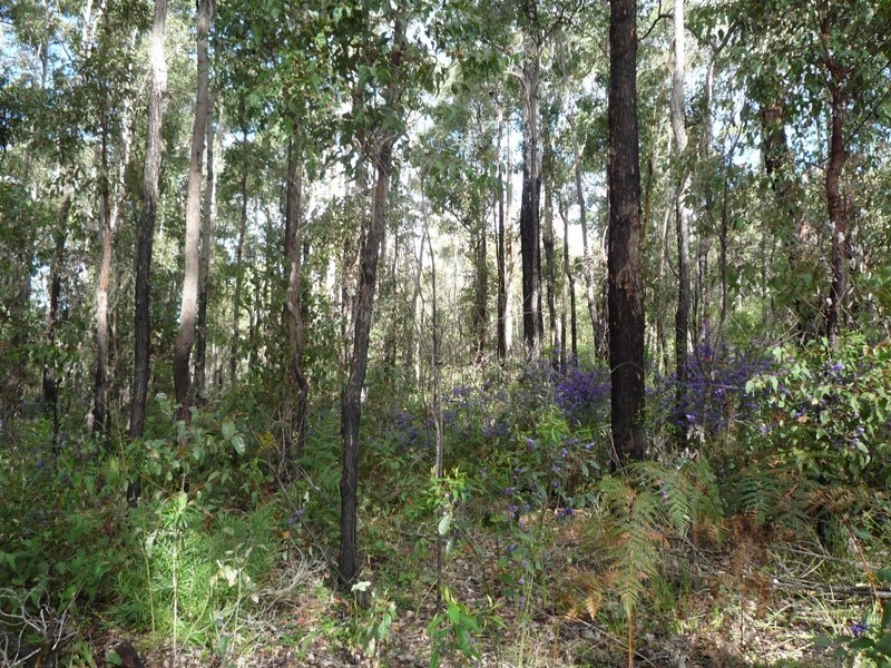 Lot 52 Karri Lane, Quinninup WA 6258