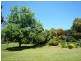 46 Clarrie Jones Place, Pemberton WA 6260