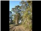 Lot 4 Muschamp Road, Manjimup WA 6258