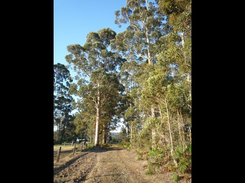 Lot 4 Muschamp Road, Manjimup WA 6258