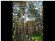Lot 4 Muschamp Road, Manjimup WA 6258