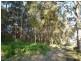 Lot 4 Muschamp Road, Manjimup WA 6258