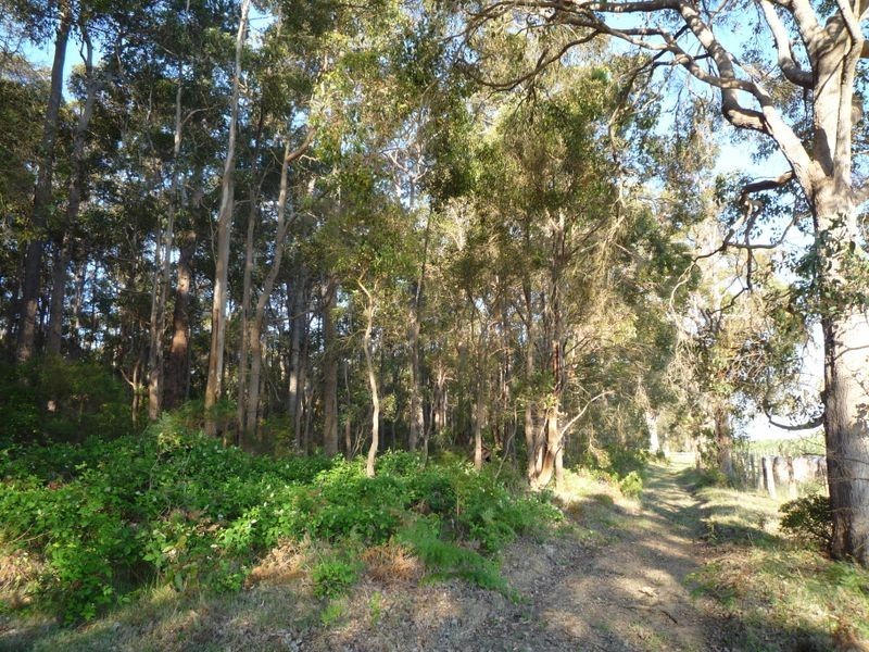 Lot 4 Muschamp Road, Manjimup WA 6258
