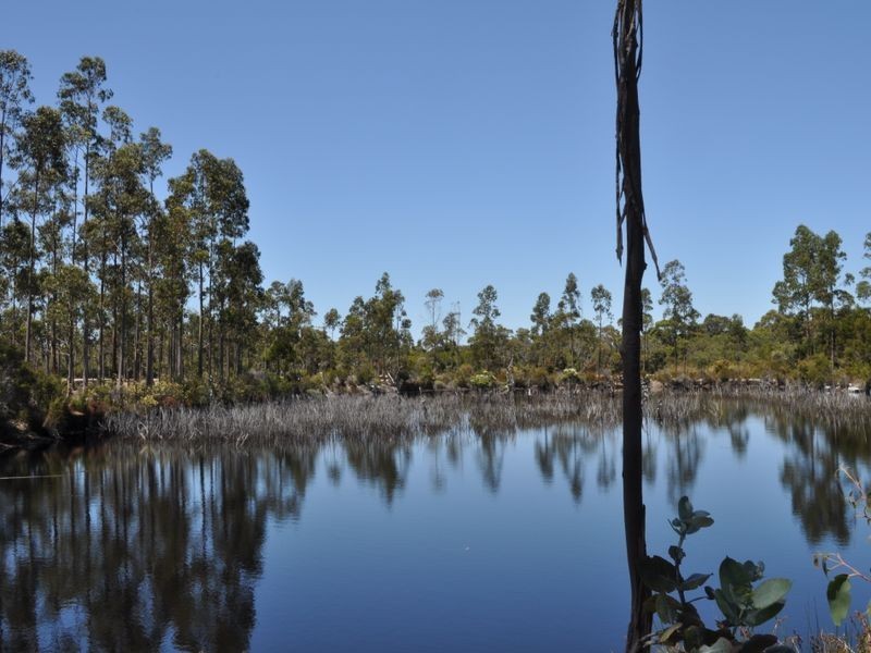 1064 Richardson Road, Northcliffe WA 6262