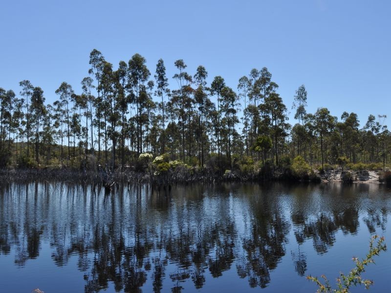 1064 Richardson Road, Northcliffe WA 6262