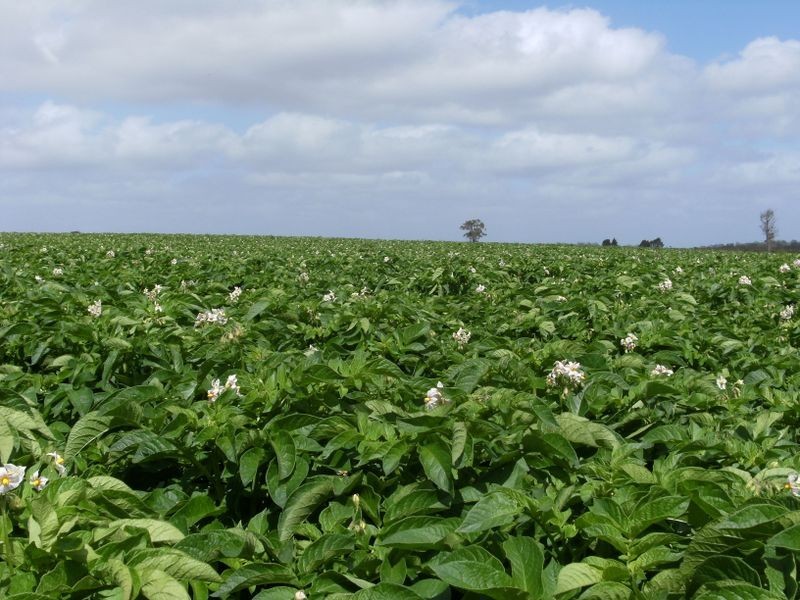 NL 10066 Stirling Road, Pemberton WA 6260