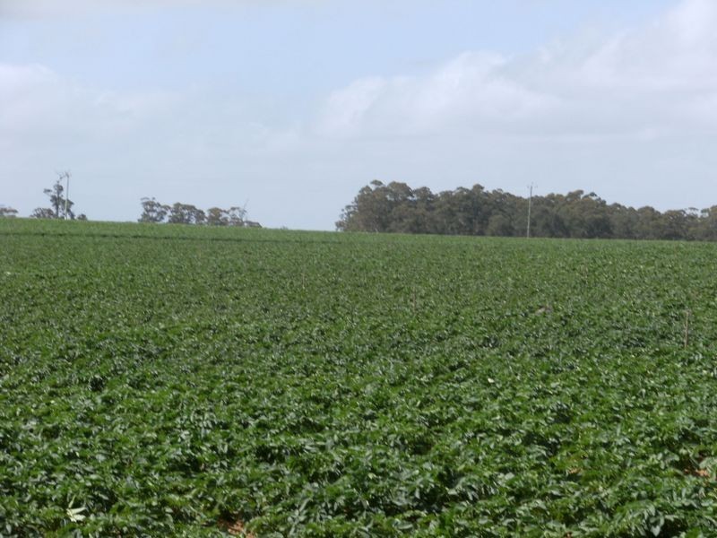 NL 10066 Stirling Road, Pemberton WA 6260