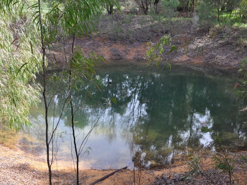 Lot 11055 Channybearup Road, Pemberton WA 6260