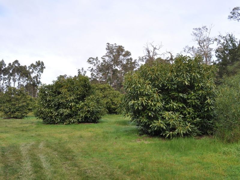 Lot 11055 Channybearup Road, Pemberton WA 6260