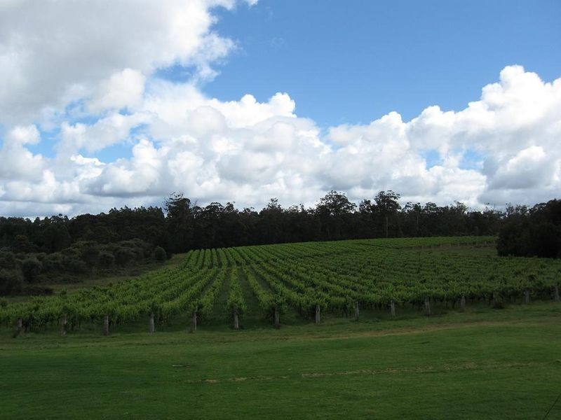 Lots 7489 Burma Road, Pemberton WA 6260